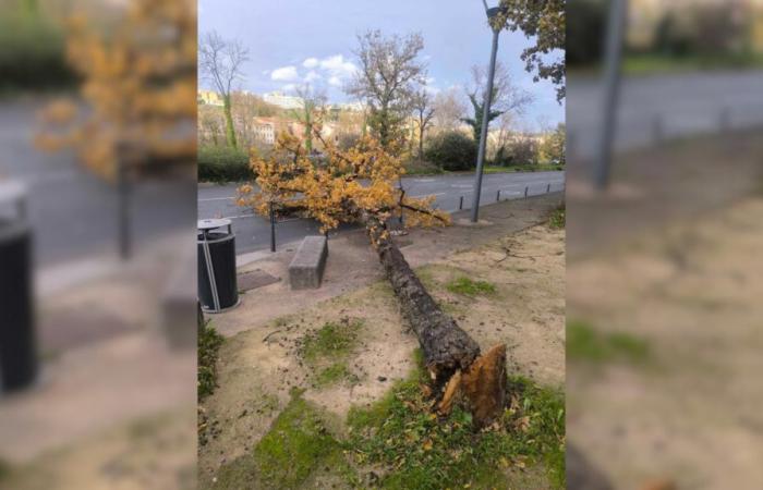 Tempesta Bert: danni impressionanti in Alvernia-Rodano-Alpi