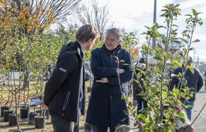 La distribuzione degli alberi dell'acclamato Metropolis