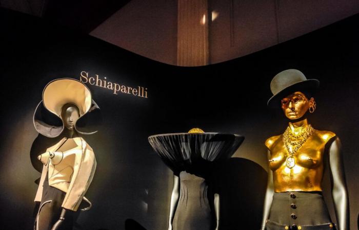 Serata libera al Palais Galliera: indossate il vostro cappello migliore per scoprire questa mostra