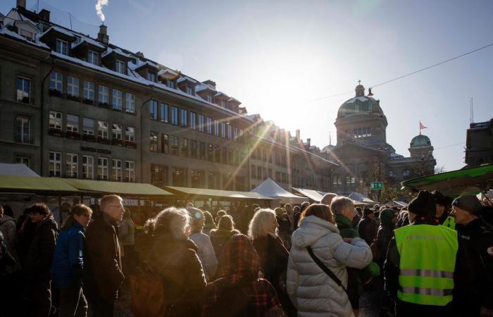 Zibelemärit a Berna: in offerta 33.655 chili di cipolle