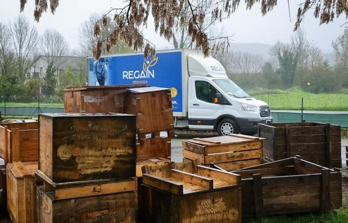 Un esemplare partenariato di riciclo “corto circuito”: a Figeac gli imballaggi in legno dell'azienda Ratier vengono recuperati e rivalorizzati dall'associazione locale Regain