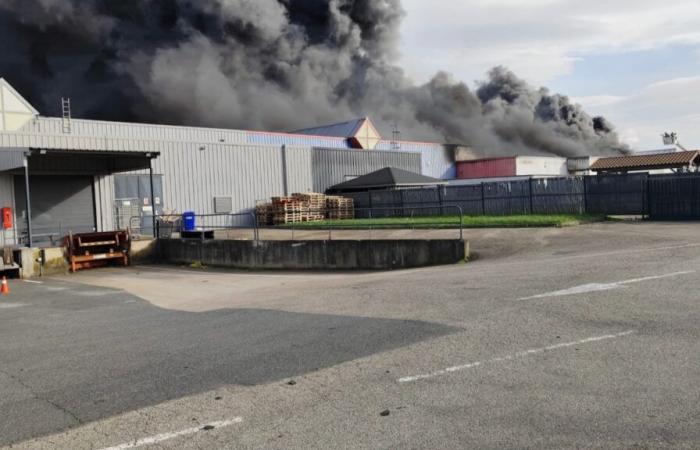 Devastante incendio ad Anse: il vento complica l’intervento