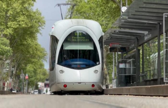 La circolazione dei tram è stata gravemente interrotta