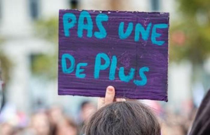 Francia: come è organizzata la mutua assistenza contro la violenza sulle donne?