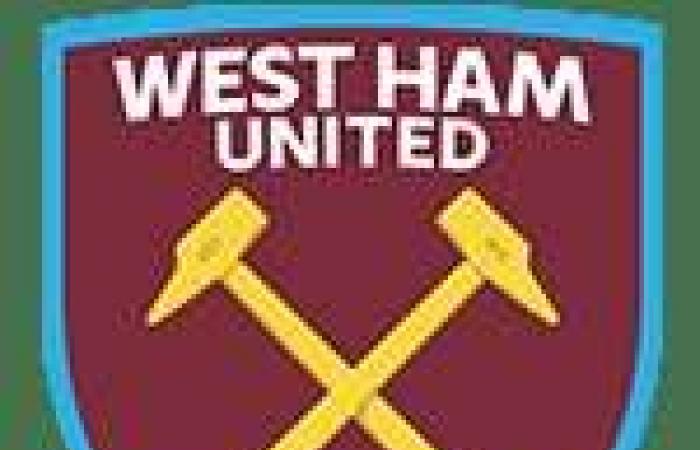 Battuto in casa dal West Ham, il Newcastle dimagrisce – Premier League – J12 – Newcastle-West Ham (0-2)