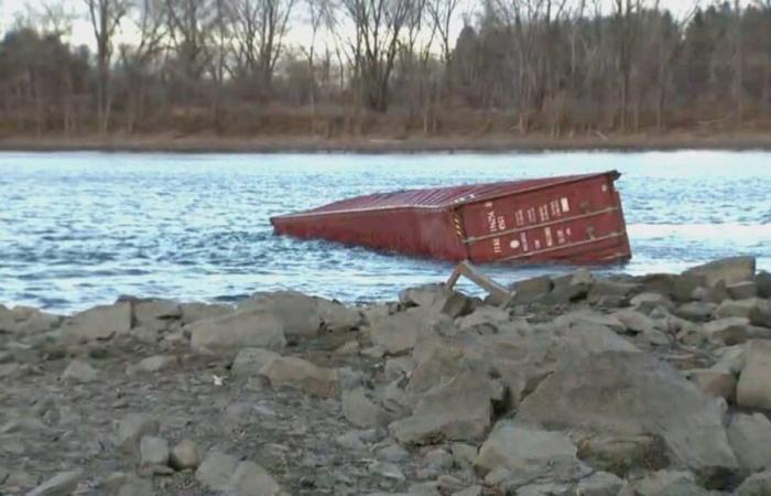 NELLE IMMAGINI | Un contenitore di orsacchiotti viene ritrovato sulle rive del fiume San Lorenzo a Boucherville