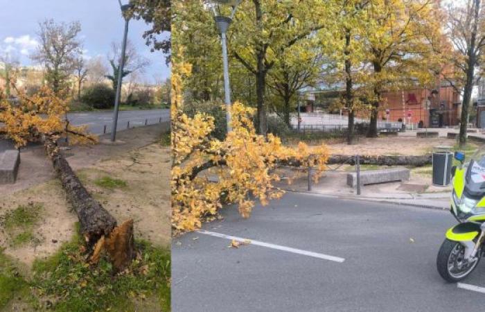 Tempesta Bert: danni impressionanti in Alvernia-Rodano-Alpi