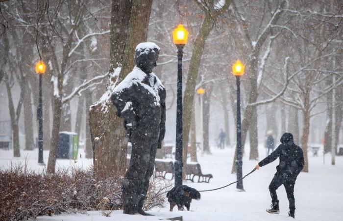 Indagine sulla luce | Orgoglioso del Quebec? Oh sì!