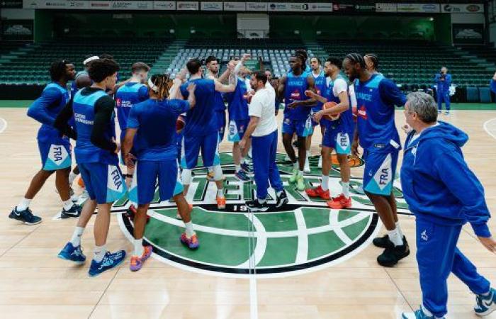 “La tendenza è che tutti i giocatori sono motivati ​​a venire la prossima estate” • Basket USA