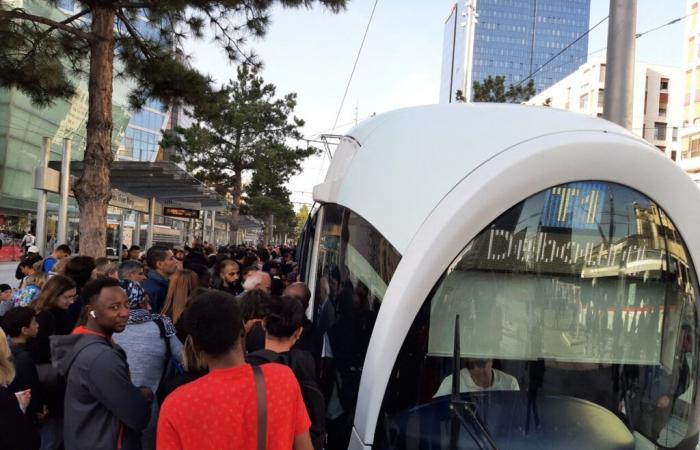 linee del tram ferme, alberi che cadono sui binari