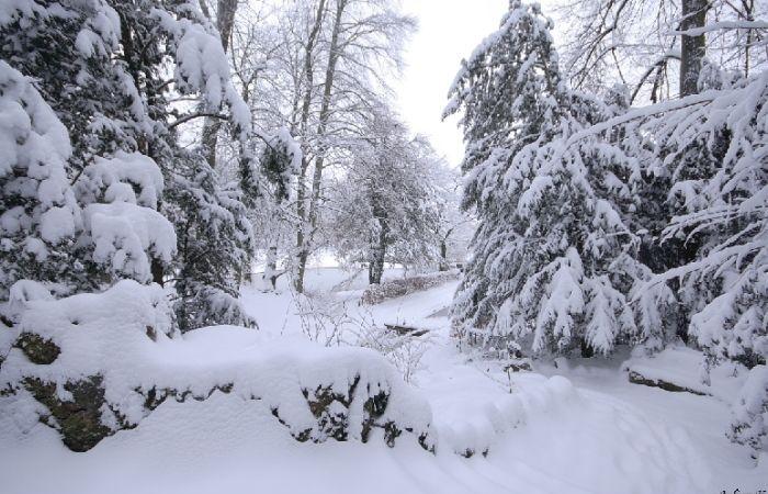 Sono possibili ulteriori nevicate da qui a Natale? 25/11/2024