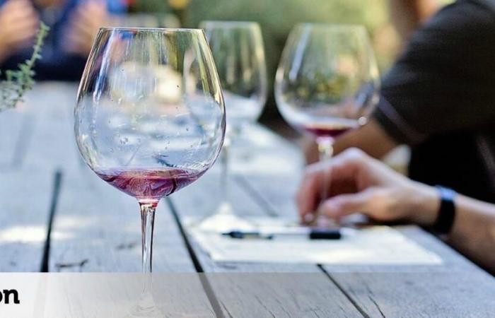 L'anno prossimo, l'Università di León lancia la prima microcredenziale in Sommelier della Comunità