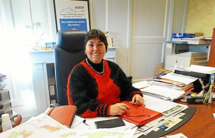 “L'attuale mandato è forse il più complesso”, secondo Nadine Kersaudy, presidente dell'associazione dei sindaci rurali del Finistère