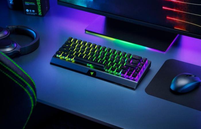 La tastiera Razer Blackwidow V3 Mini TKL è ad un prezzo incredibile per il Black Friday (-61%)