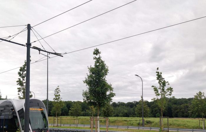 Dal Boulevard des Scillas alla Route d’Esch, ecco i principali progetti a Howald e Cloche d’Or