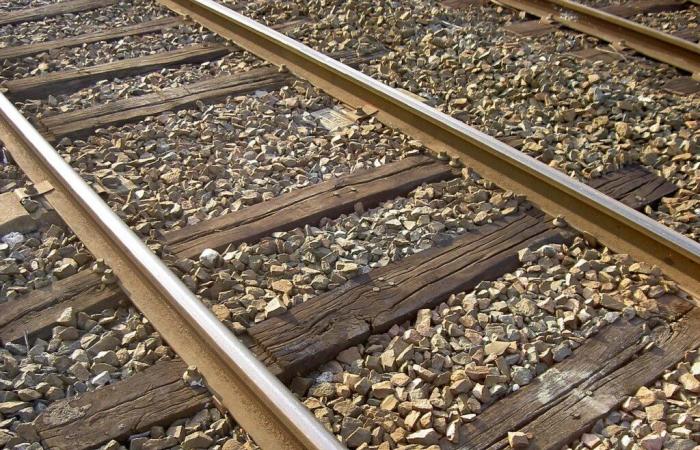 Il furto di cavi complica il traffico ferroviario tra Oise e Parigi