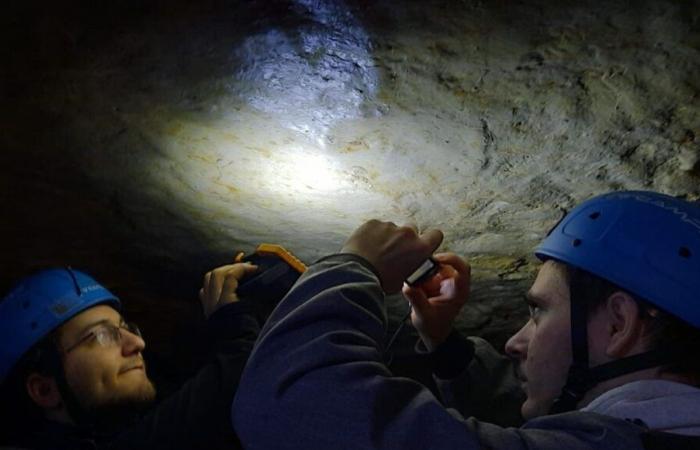 Côte-d'Or: ricercatori e studenti alle prese con i nuovi segreti della grotta di Bèze