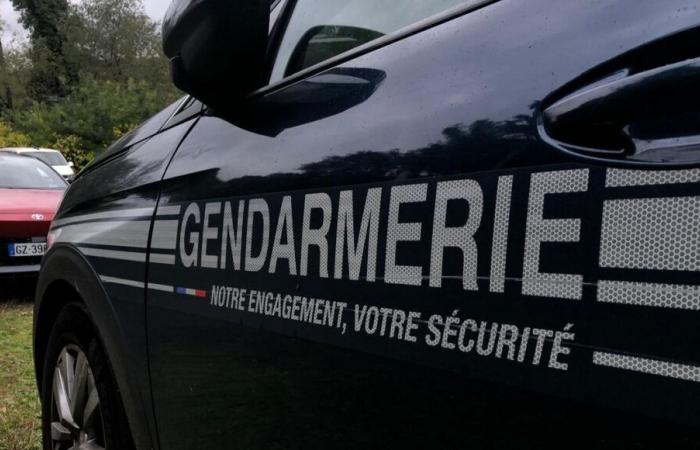 Ardenne: una donna accoltellata a Wasigny, un uomo arrestato