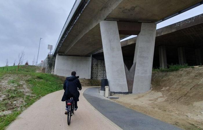 Mobilità in bicicletta: Saint-Denis dà voce a ciclisti, pedoni e conducenti