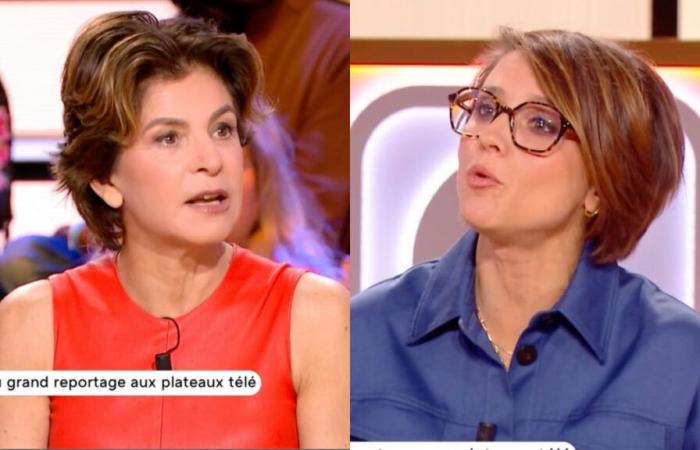 Anne Nivat sconvolta da una domanda su suo marito Jean-Jacques Bourdin su France 5 (VIDEO)