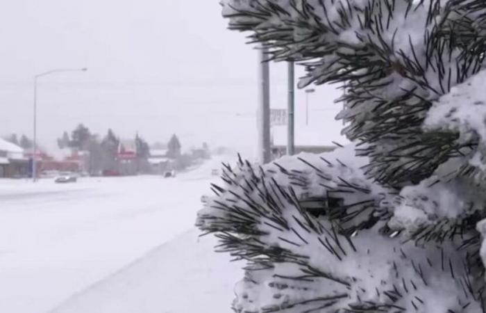 Meteo saggio: La Nina Outlook