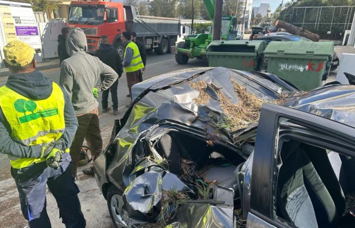 Gli equipaggi stanno ripulendo le conseguenze dei forti venti del fine settimana, i sindaci di Nicosia sollecitano la vigilanza