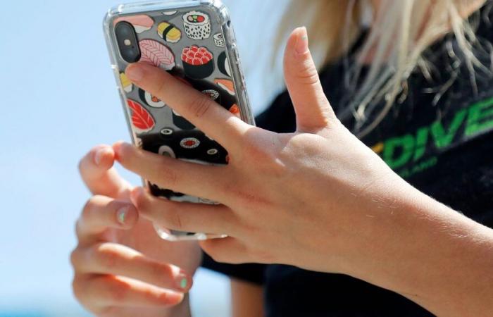 Meta presenta una proposta alla Commissione Europea sulla tutela degli adolescenti online