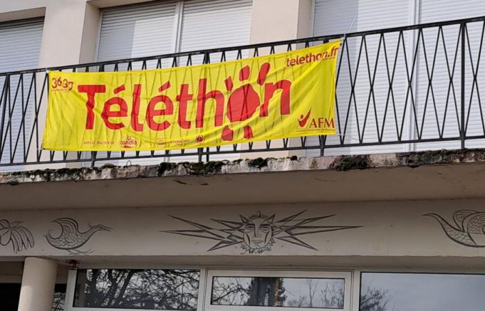 Saint-Quentin-en-Yvelines – Un grande programma per Telethon a Saint-Quentin-en-Yvelines