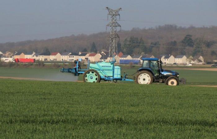 Artificializzazione dei suoli nella Senna e Marna: la protezione dei terreni agricoli fa discutere