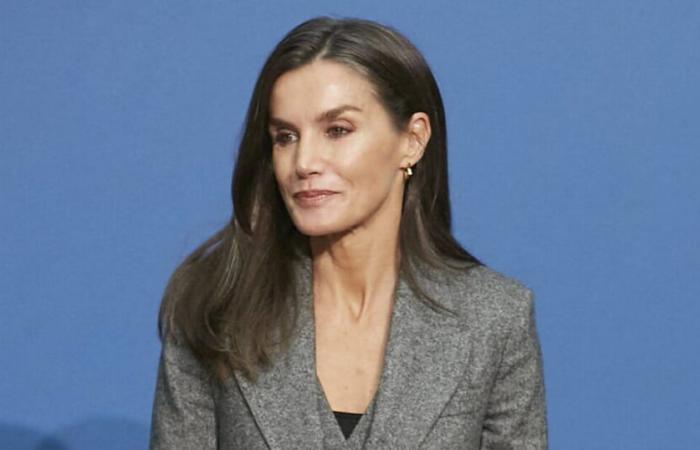 Letizia dalla Spagna appare in un outfit che raramente abbiamo visto nel suo ultimo ritratto ufficiale, è sexy