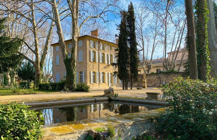 Mostre, tour della città, visite coinvolgenti… Aix-en-Provence prepara un grandioso omaggio a Cézanne