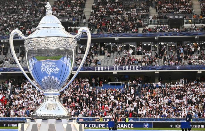 Quanto guadagnerebbero i Girondini di Bordeaux se si qualificassero ai sedicesimi della Coupe de France?