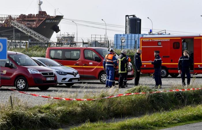 Perdita di petrolio greggio nella raffineria di Donges. Niente “petrolio sulle rive e sulla Loira, salvo dighe galleggianti” rassicura la Prefettura