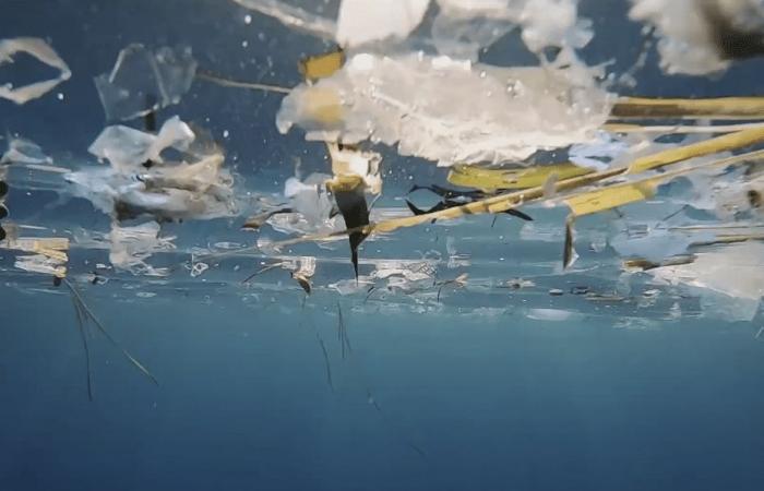 La Corsica, sepolta sotto i rifiuti di plastica, spera che gli Stati trovino un accordo per lottare contro questo inquinamento