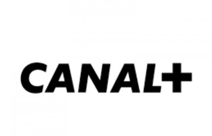 CANAL+ INTERNATIONAL sta reclutando per questa posizione (25 novembre 2024)