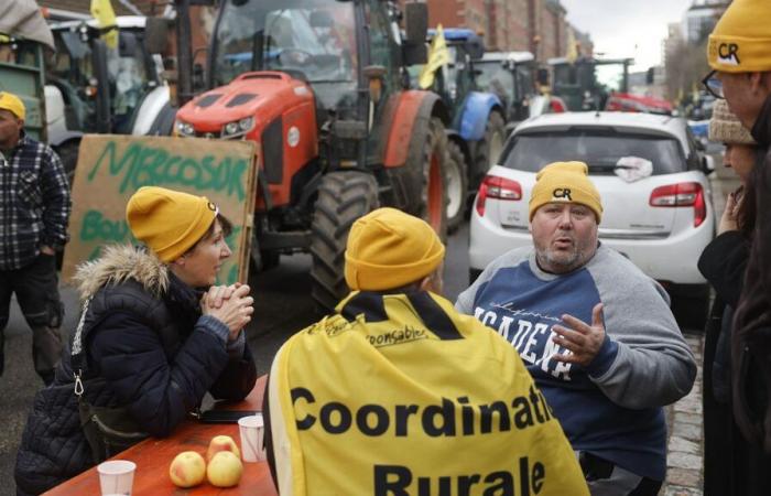 Voto dei deputati francesi sul Mercosur: quale impatto a livello europeo?