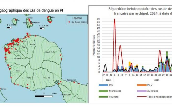 Epidemia accertata di febbre dengue a Tahiti e Moorea • TNTV Tahiti Nui Télévision