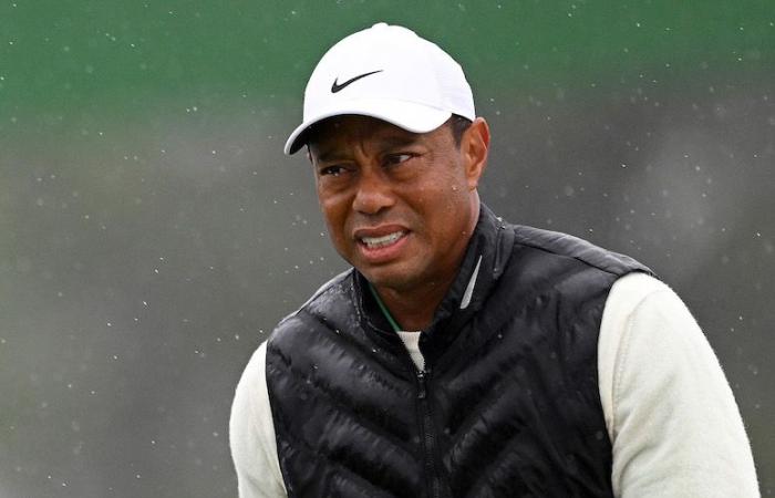 Nuovo colpo per Tiger Woods