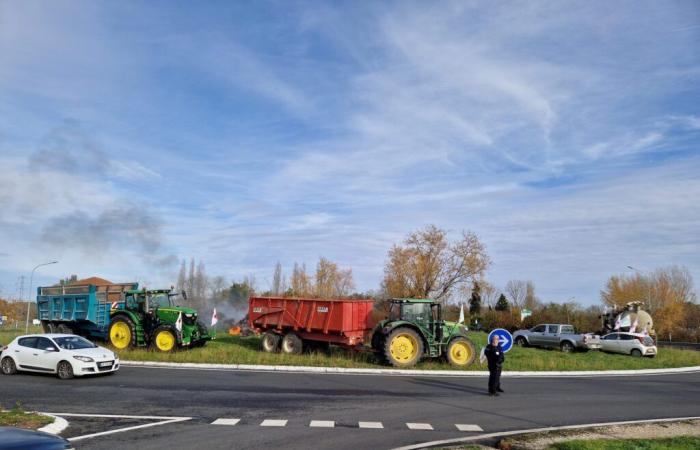 Movimento agricolo nel Lot-et-Garonne: gli agricoltori occupano la rotatoria del Parasol a Villeneuve-sur-Lot