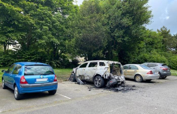 40 veicoli rimossi da una discarica abusiva per reati ambientali