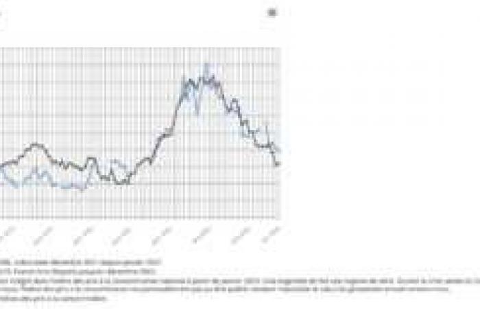 L’INSEE conferma un calo dei prezzi al consumo dello 0,2% nell’ottobre 2024