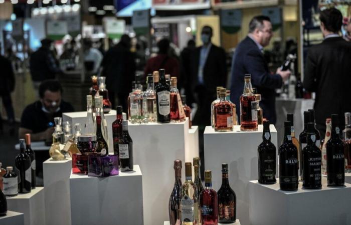 vini, liquori, latticini… Quali settori agricoli potrebbero beneficiare dell'accordo di libero scambio in Francia?