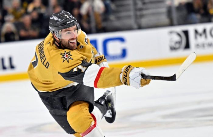 Washington Capitals vs. Vegas Golden Knights STREAMING LIVE GRATUITO (17/11/24): guarda la stagione regolare della NHL online | Ora, TV, canale