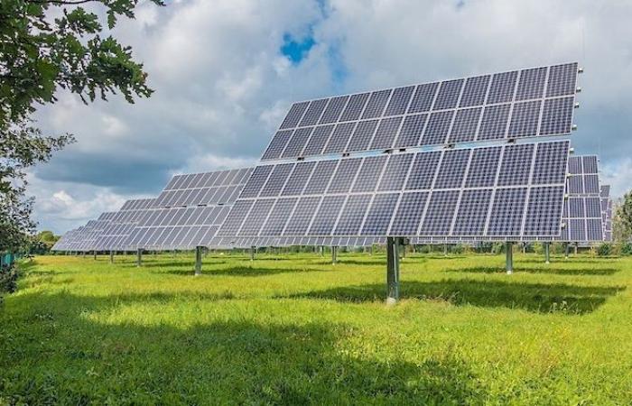 NÉELA – Una novità solare e locale per le Landes d'Armagnac