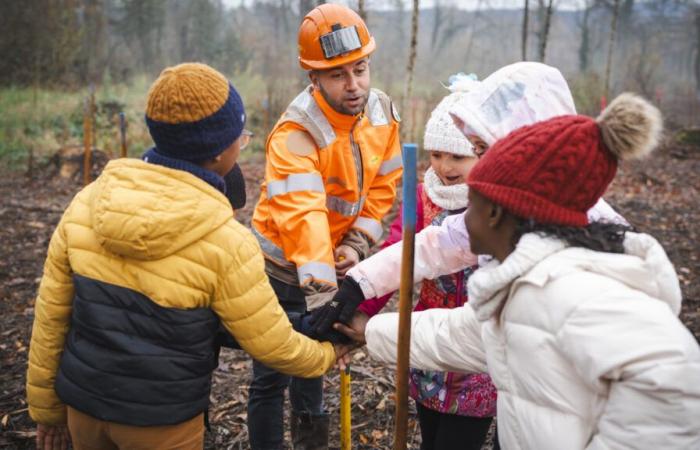 Alta Savoia. A Poisy, 800 alberi piantati da 145 studenti e dal gruppo Colas