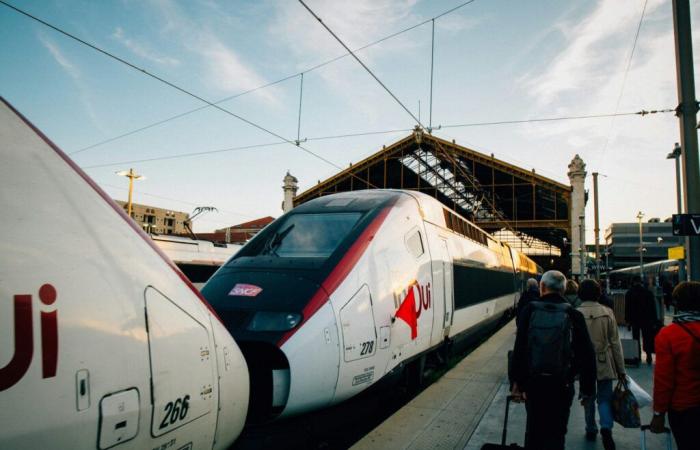 Black Friday: la Carta Vantaggi SNCF TGV INOUI è a prezzo scontato, giusto in tempo per Natale