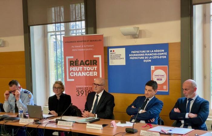 Giornata internazionale contro la violenza contro le donne – Strumenti innovativi per proteggere meglio le vittime in Côte-d'Or