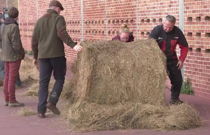 Trattori, balle di paglia, terreni… Perché gli agricoltori arrabbiati manifestano davanti all'agenzia dell'acqua a Rouen