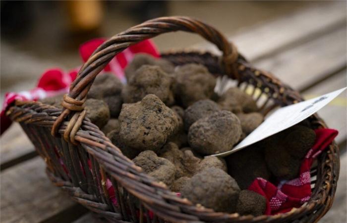 il 3 dicembre riprende il famoso mercato del tartufo del Lot