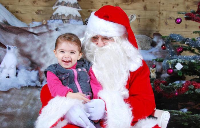 Tolosa. Mercatini di Natale, pista di pattinaggio, luminarie… tutto quello che c'è da sapere sulle festività!